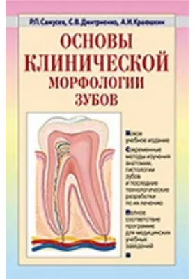 Основы клинической морфологии зубов
