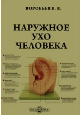 Наружное ухо человека