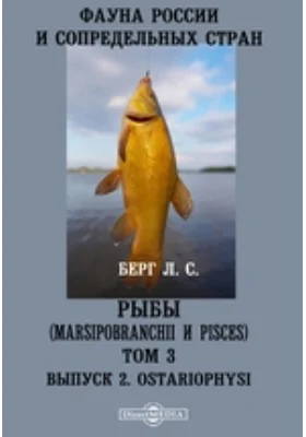 Фауна России и сопредельных стран. Рыбы (Marsipobranchii и Pisces). Ostariophysi