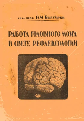 Работа головного мозга в свете рефлексологии