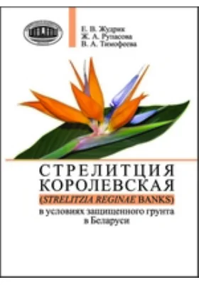 Стрелитция королевская (Strelitzia reginae Banks) в условиях защищенного грунта в Беларуси
