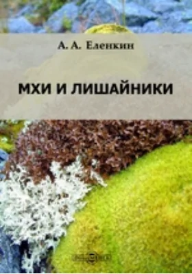 Мхи и лишайники