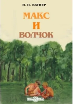 Макс и Волчок