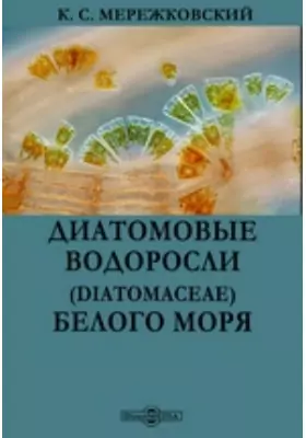 Диатомовые водоросли (Diatomaceae) Белого моря