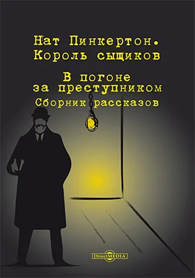 В погоне за преступником