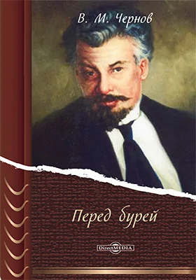 Перед бурей