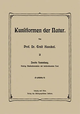 Kunstformen der Natur