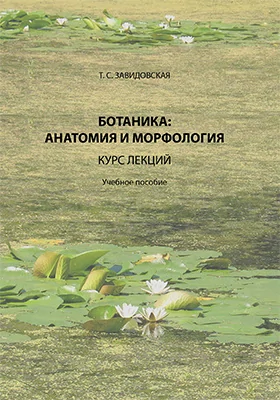 Ботаника: анатомия и морфология
