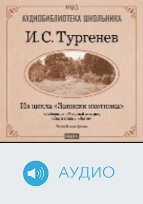 Лебедянь. Уездный лекарь. Лес и степь. Льгов: из цикла «Записки охотника»: аудиоиздание