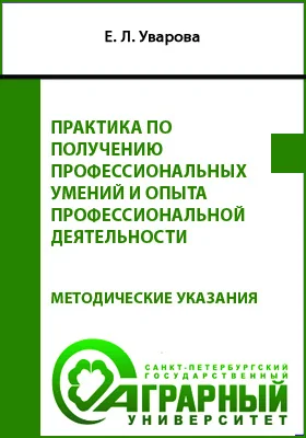 Практика по получению профессиональных умений и опыта профессиональной деятельности