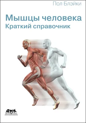 Мышцы человека