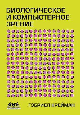 Биологическое и компьютерное зрение