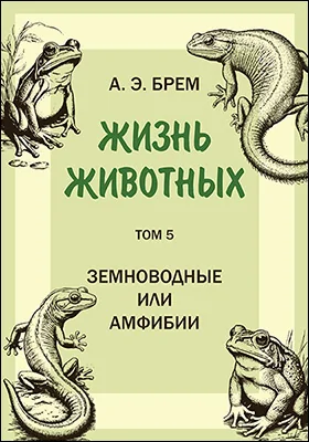 Жизнь животных