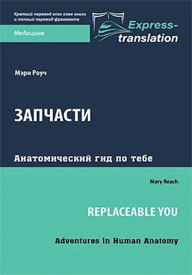 Запчасти: анатомический гид по тебе