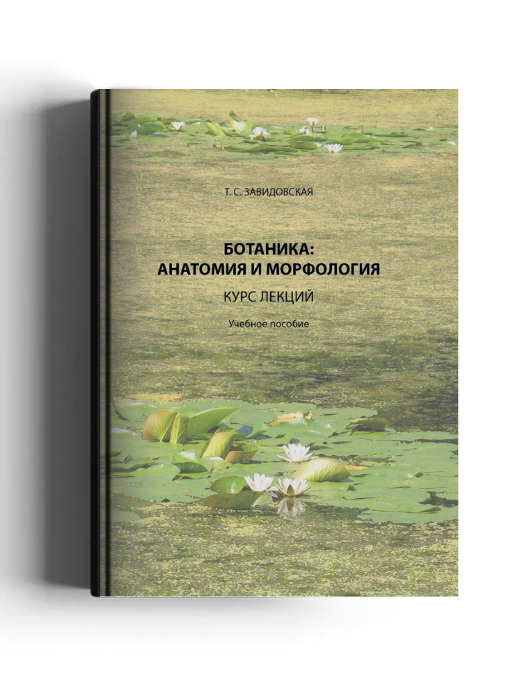 Ботаника: анатомия и морфология