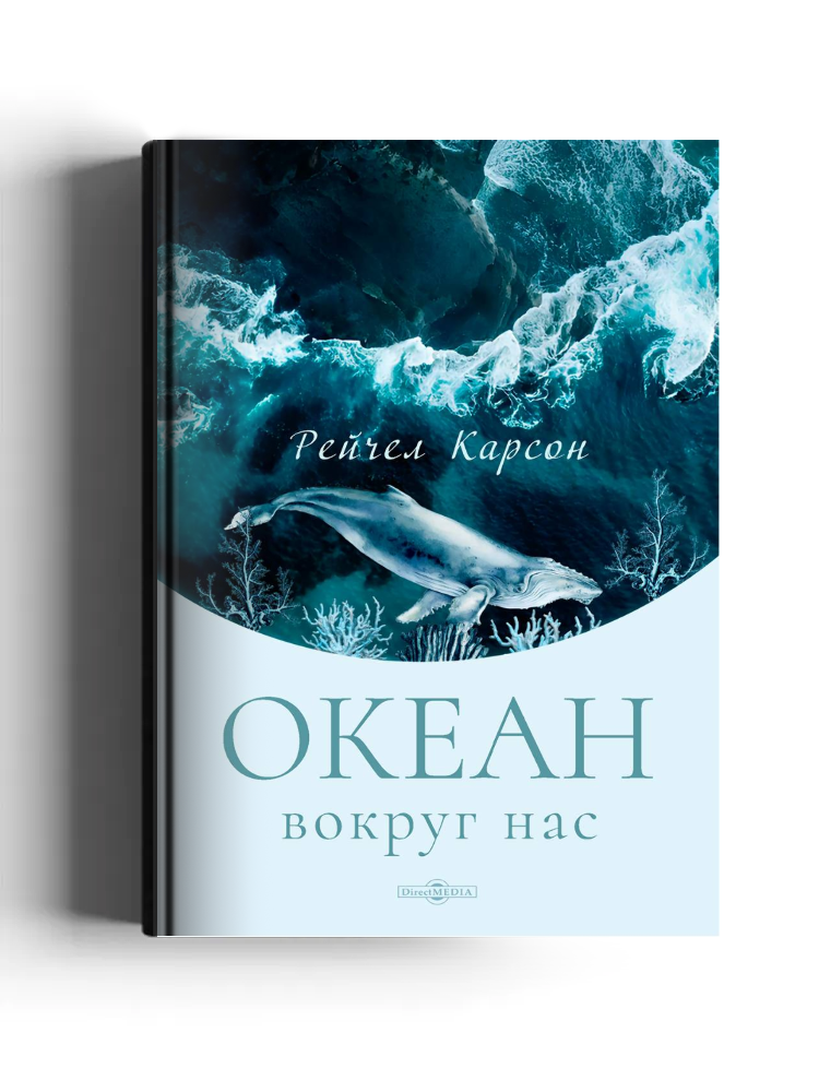 Океан вокруг нас