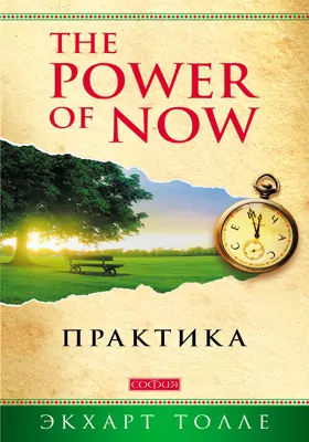 The Power of Now: практика: научно-популярное издание